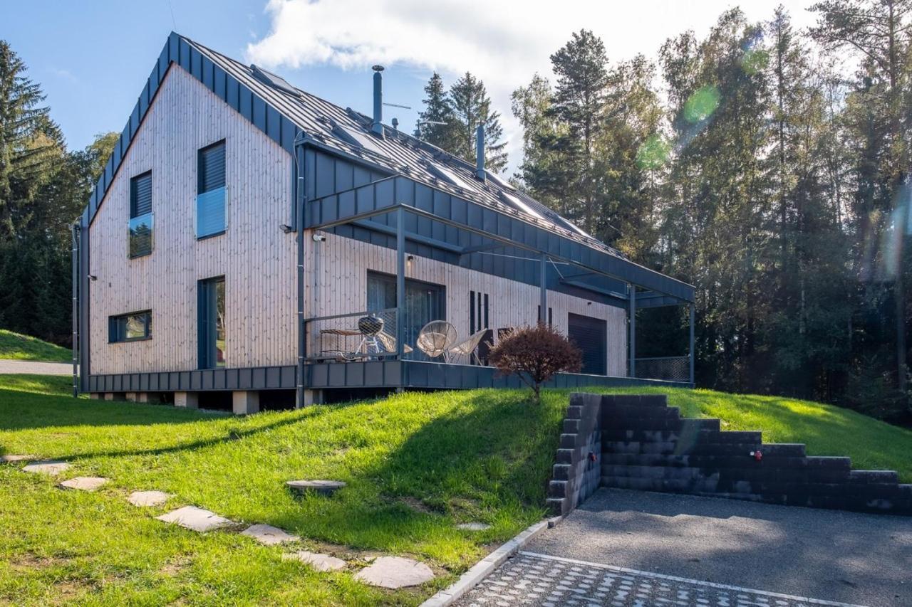Holiday House U Hajenky 13P Lipno Home 리프노나드비타보브 외부 사진